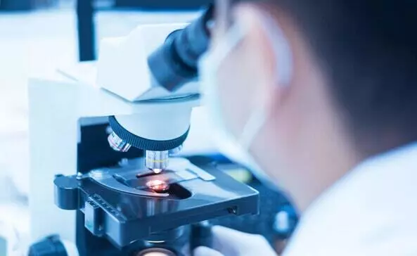 Acetylcholine Receptor Blocking Antibody